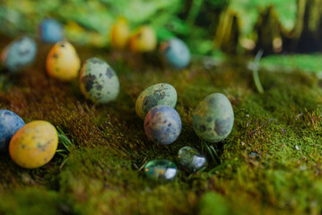 Easter colored eggs on green grass with blurred background
