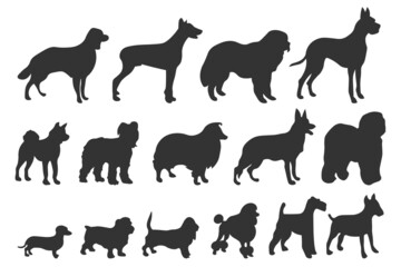 Dog silhouettes. Various breed. Doberman, malamute and labrador, poodle and corgi, bulldog and pug. Isolated vector set. Collection of pets or domestic animals as collie, akita and dachshund EPS