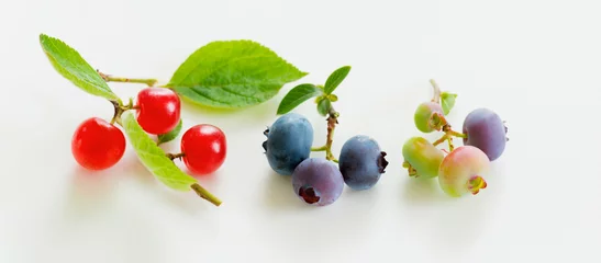 Crédence de cuisine Cuisine 白バックのブルーベリーとユスラウメの実  © taiyosun