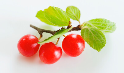 白バックのユスラウメの実