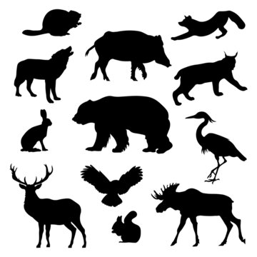 Set of black silhouette wild forest steppe animals. Vector illustration isolated on white, side view profile. Collection woodland animals. EPS