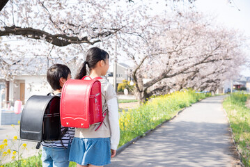 桜を背景に空を見つめる小学生の男の子と女の子