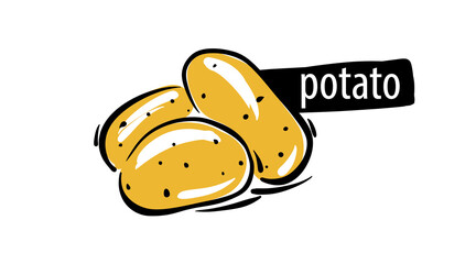 Drawn potato isolated on a white background