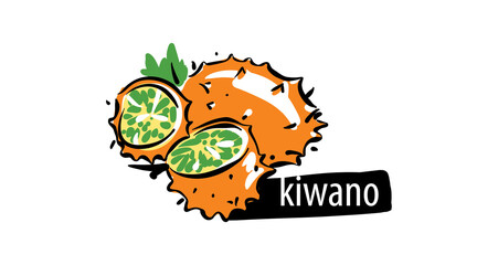 Drawn Kiwano isolated on a white background