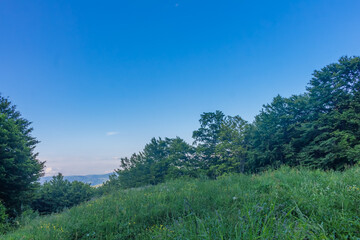 Fototapeta premium skyline in the mountains in summer..