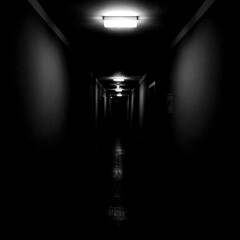 the black corridor