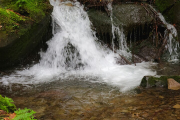 Fototapeta premium Mountain Creek