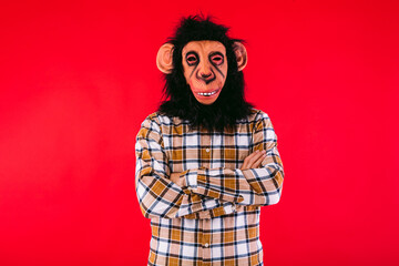 Man with chimpanzee monkey mask and plaid shirt with arms crossed, on red background.