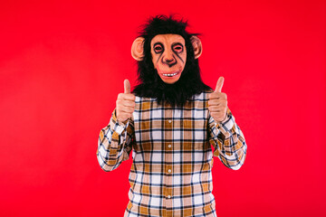 Man with chimpanzee monkey mask and plaid shirt giving thumbs up, on red background.