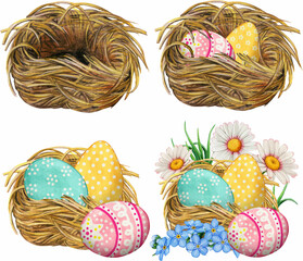 Watercolor bird nest collection