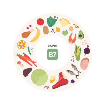 Healthy food guide concept. Vector flat illustration. Infographic of b7 vitamin sources. Colorful meat, fruit, vegetables and grains icon set.