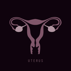 female reproductive system women uterus ovary icon