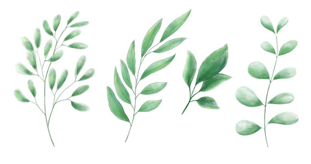 A set of watercolor leaves and branches. Lovely design elements to make your own patterns, laurels and compositions. Great for wedding or invitations.