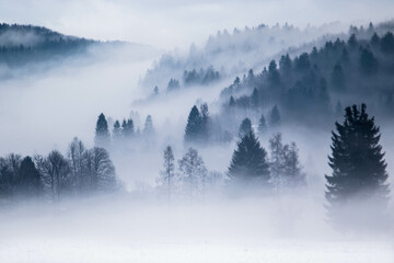 fog in the mountains