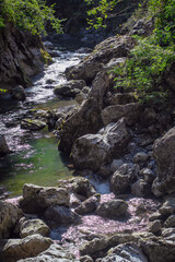 mountain river in the gorge of mountains near the city of San Pelegrino in Italy