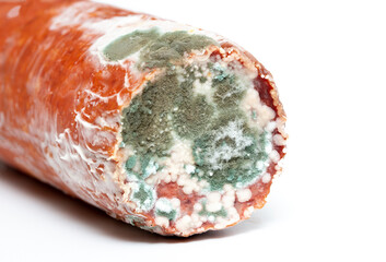 Spoiled food, sausage and moldy cheese on a white background. Mold close-up macro. Moldy fungus on...