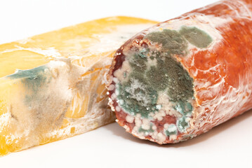 Spoiled food, sausage and moldy cheese. Mold close-up macro. Moldy fungus on food. Fluffy spores...