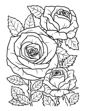 Rose Flower Coloring Page for Adults Stock Vector | Adobe Stock