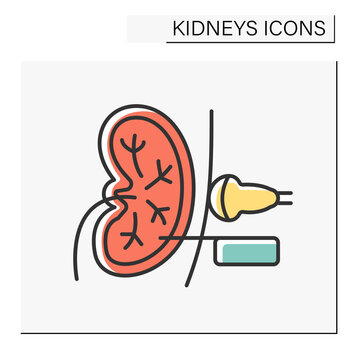 Biopsy color icon. Medical test. Kidney examination to check healthy or to diagnose an illness. Healthcare concept.Isolated vector illustration