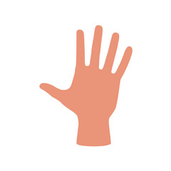 human hand, palm and five fingers. isolate