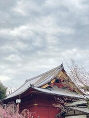 Obraz premium the poster style, cherry blossom season and the Japanese temple, Ueno Park Tokyo, Japan