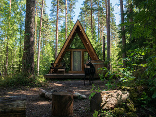 forest house for rest in the summer forest. glamping in the forest