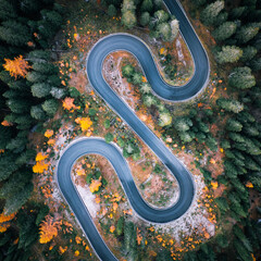 Top aerial view of famous Snake road near Passo Giau in Dolomite Alps. Winding mountains road in lush forest with orange larch trees and green spruce in autumn time. Dolomites, Italy