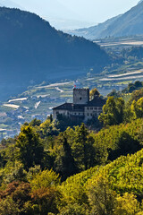 Fototapeta na wymiar Thurnstein is a medieval castle surrounded by the vineyards of the typical 