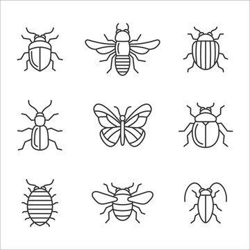 Insect Icons Set. Butterfly, Bug and Bee. Vector