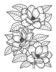 Magnolia Flower Coloring Page for Adults