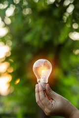 Light bulbs that grow, in the concept of energy in nature.