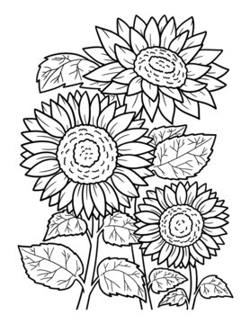 Sunflower Coloring Page for Adults