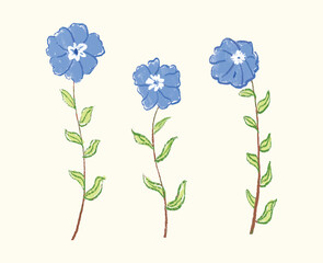 Naklejka na ściany i meble Blue wildflower with stems from different angles in digital illustration art design