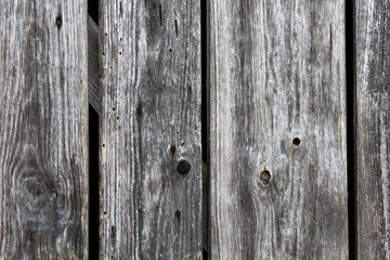 Fototapeta premium texture of an old wooden board