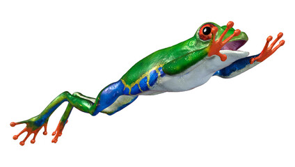 3D Rendering Amazon Tree Frog on White