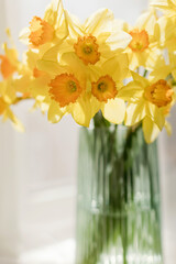 Bouquet of daffodils in glass vase