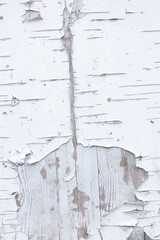 texture of old wooden board with peeling paint