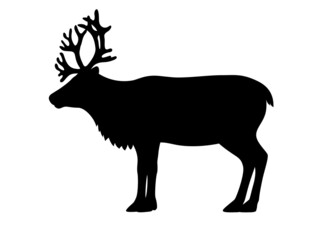 Silhouette of a reindeer