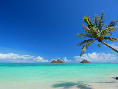 洋書◆ハワイ写真集 本 集いの島 風景 景色 海 ビーチ ハワイ〉ワイキキビーチの風景 Stock Photo | Adobe Stock