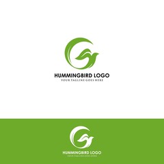 flying bird logo design template with linear concept style. vector illustration of hummingbird/colibri in outline, monoline style