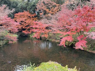 japanese garden