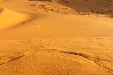 Sand dunes in the desert.