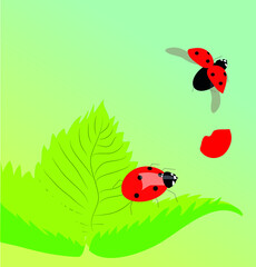 Obraz na płótnie Canvas Vector illustration representing two ladybugs flying quietely by a spring sunny day