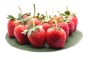 strawberries on a white background
