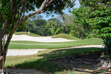 Forest with exotic plants in a tropical golf course with sand bunkers against the blue sky in Mexico