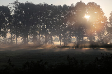 Landschaft in Norddeutschland im Herbst mit Nebel