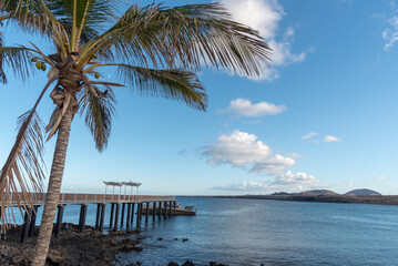 Fototapeta na wymiar Mar turquesa y cristalino de Lanzarote, Islas Canarias, con un muelle y una gran palmera al lado durante un día soleado de verano. Recursos turísticos naturales.