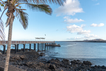 Vista panorámica de un paisaje costero muelle de la Garita en Arrieta, Lanzarote. Se adentra en un mar de agua turquesa y transparente y con una gran palmera al lado.