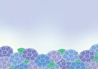 紫陽花の背景イラスト