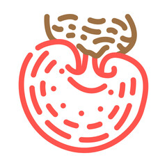 reishi mushroom color icon vector. reishi mushroom sign. isolated symbol illustration